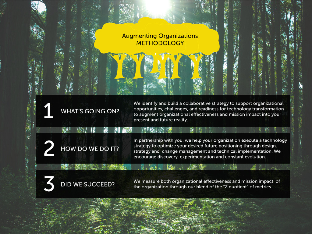 I refined their methodology and simplified it into core 3 steps in how they help organizations use technology more effectively.